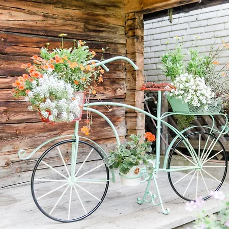 B&B Sportpension Carinthia 솔덴